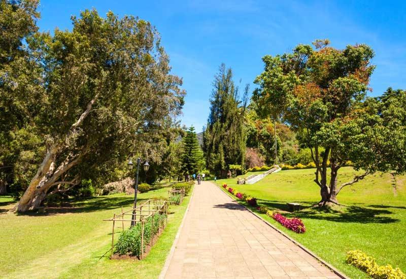 Green Mount View Two Bed Room Apartment Nuwara Eliya Exterior foto